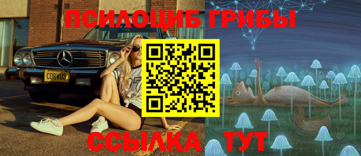 Галлюциногенные грибы Psilocybine cubensis  как найти   Янаул  Вход с VPN 